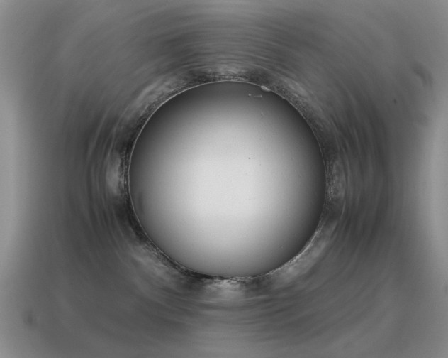 X0000115500140200911061335