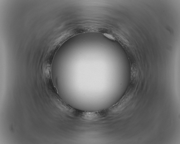 X0000115500141200911061335