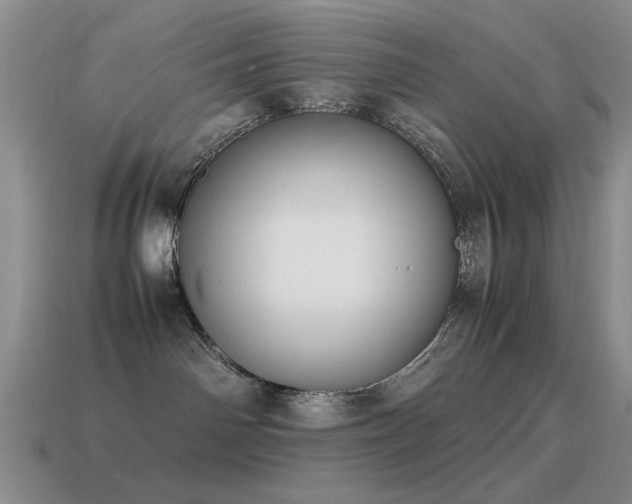 X0000115500142200911061335
