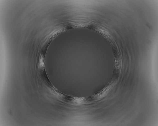 X0000115500143200911061335