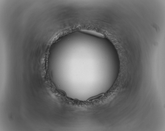 X0000115500144200911061335