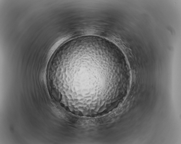 X0000115500147200911061334