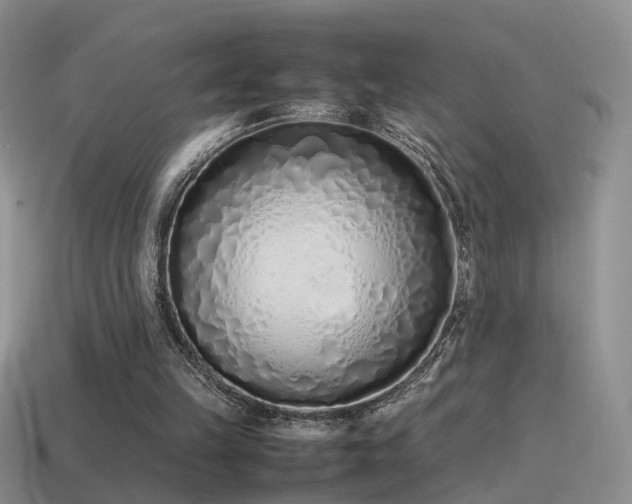 X0000115500149200911061334