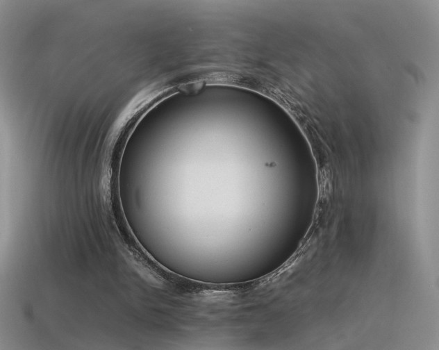 X0000115500150200911061334