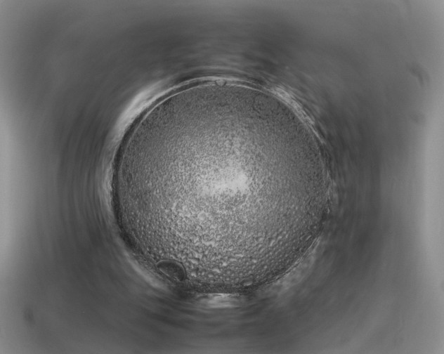 X0000115500151200911061334