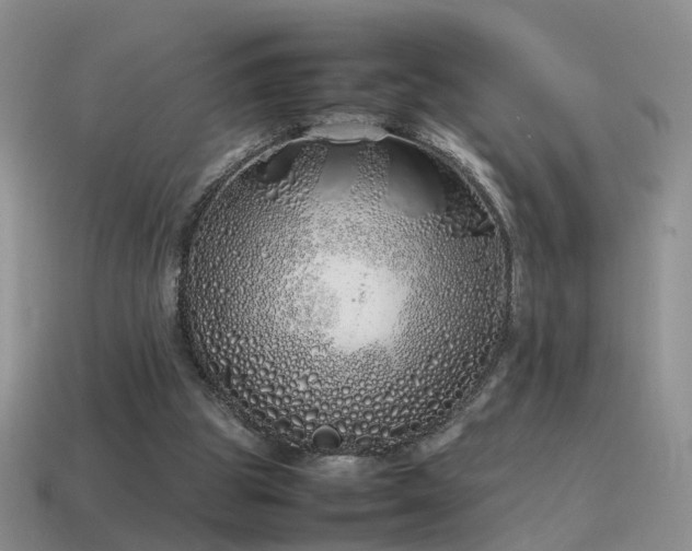 X0000115500153200911061334
