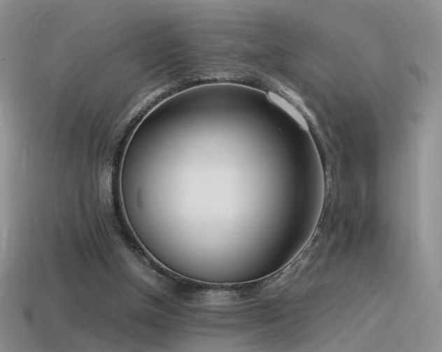 X0000115500154200911061334