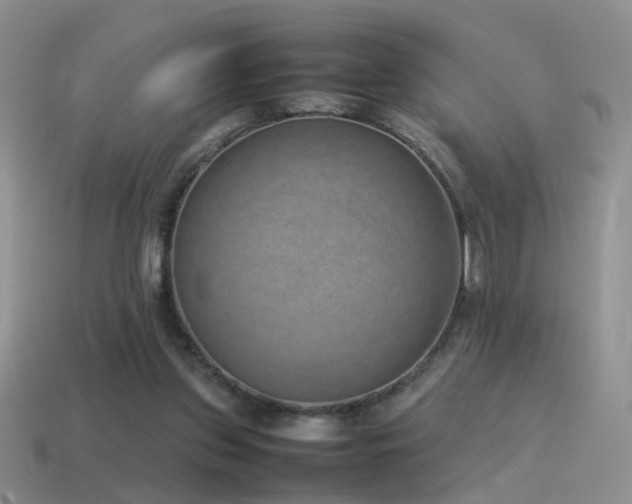 X0000115500157200911061334