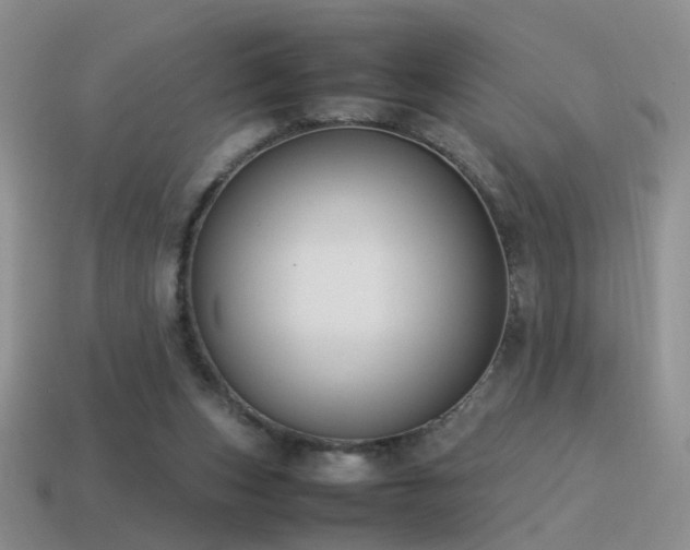 X0000115500159200911061334