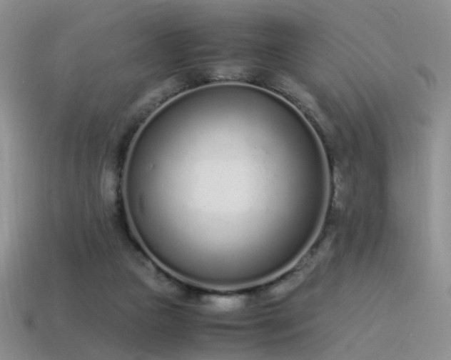 X0000115500161200911061334