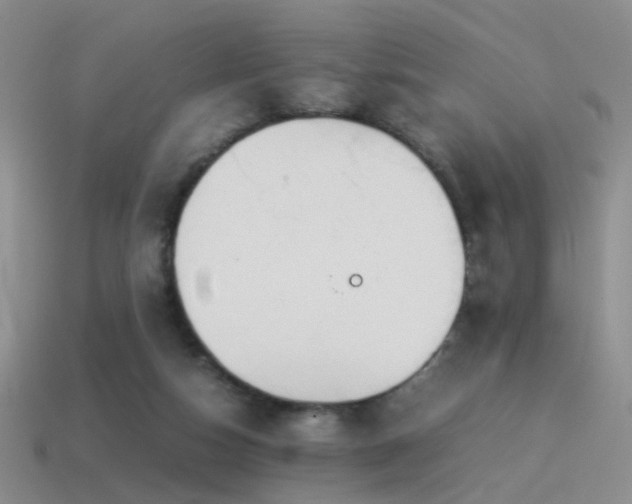 X0000115500162200911061334
