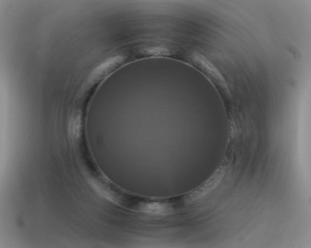 X0000115500163200911061334