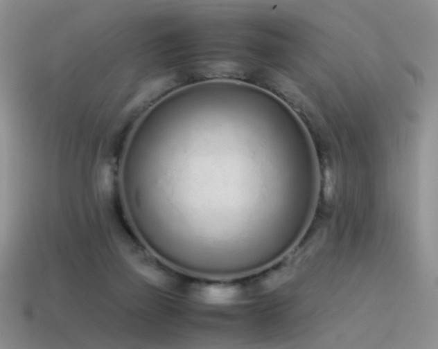 X0000115500165200911061334