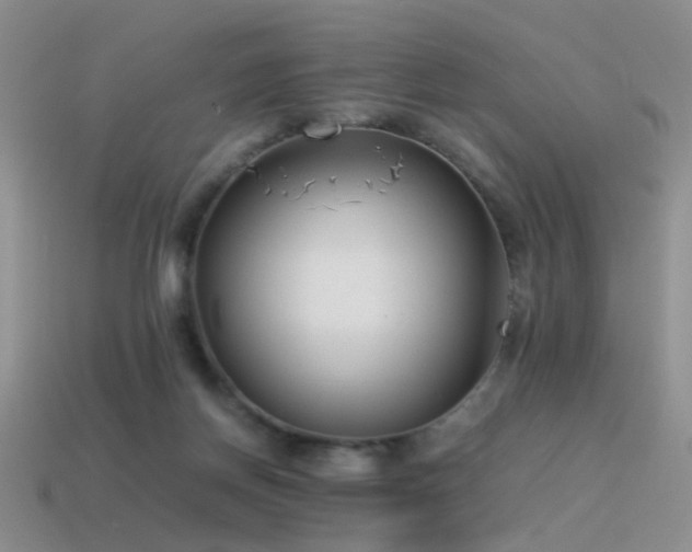 X0000115500166200911061334
