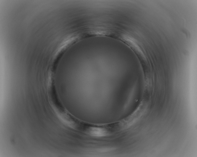 X0000115500167200911061334