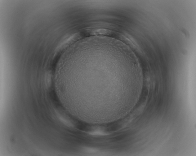 X0000115500169200911061334