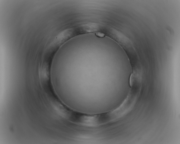 X0000115500170200911061334