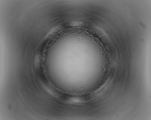 X0000115500171200911061334