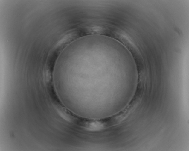 X0000115500173200911061334
