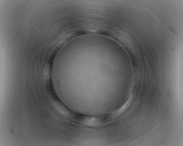 X0000115500174200911061334