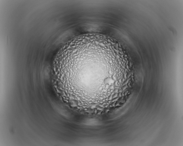 X0000115500175200911061334