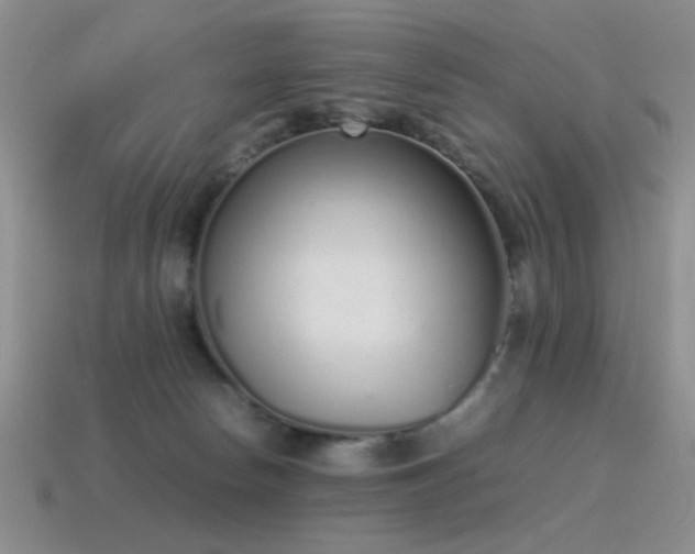 X0000115500178200911061335