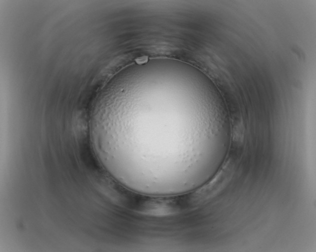 X0000115500179200911061335