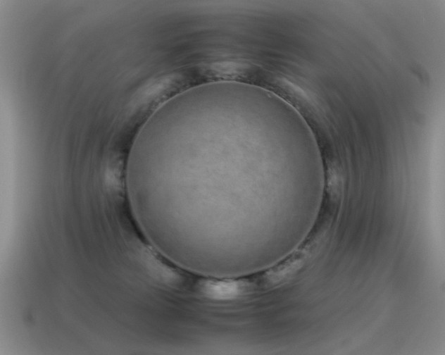 X0000115500181200911061335