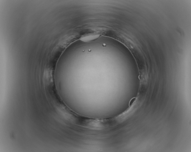 X0000115500182200911061335