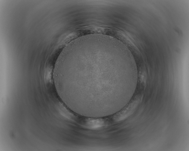 X0000115500185200911061335