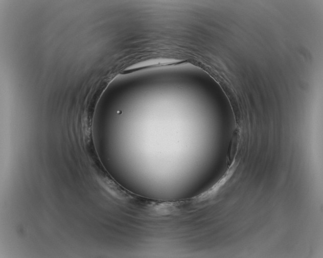 X0000115500186200911061335