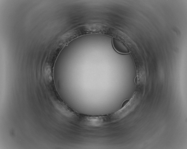 X0000115500187200911061335