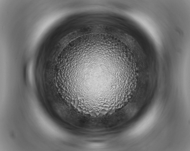 X0000115500189200911061335