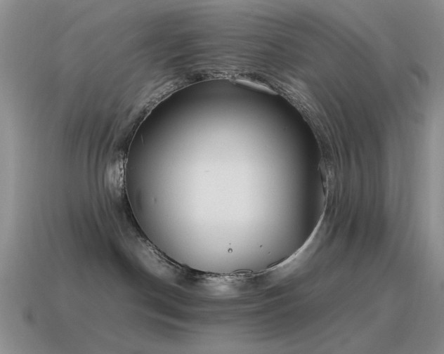 X0000115500190200911061335