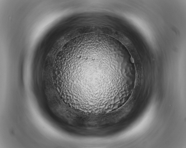 X0000115500191200911061335