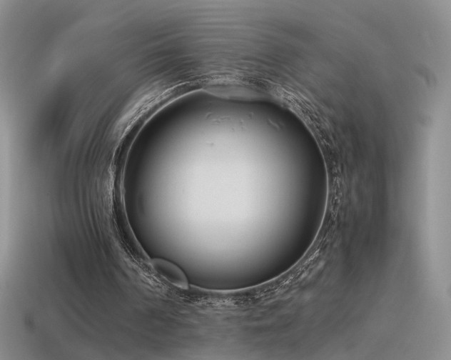 X0000115500194200911061334