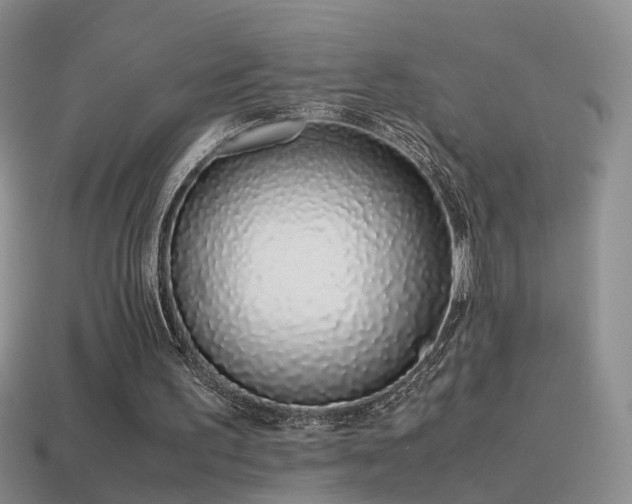 X0000115500195200911061334