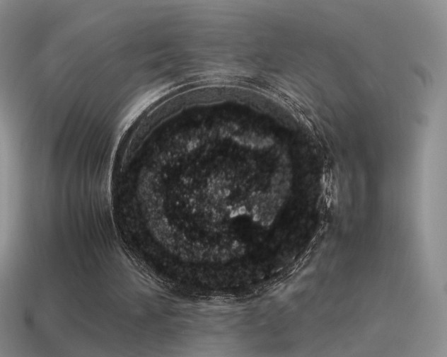 X0000115500196200911061334