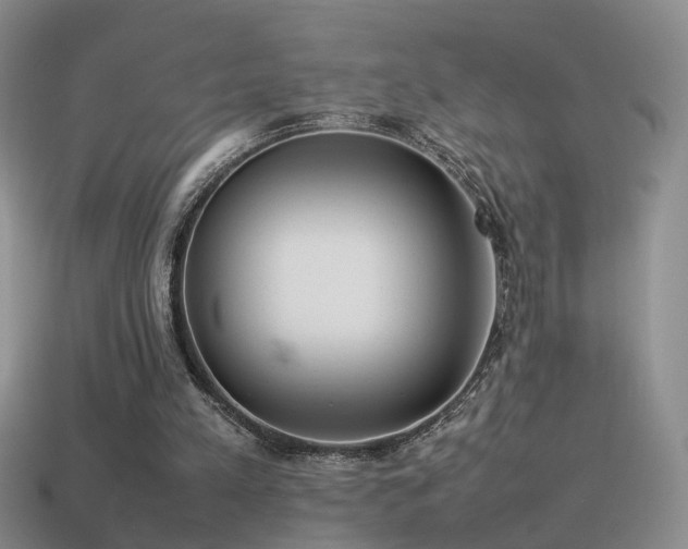 X0000115500197200911061334