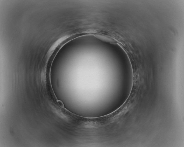 X0000115500200200911061334