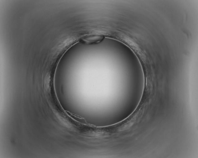 X0000115500201200911061334