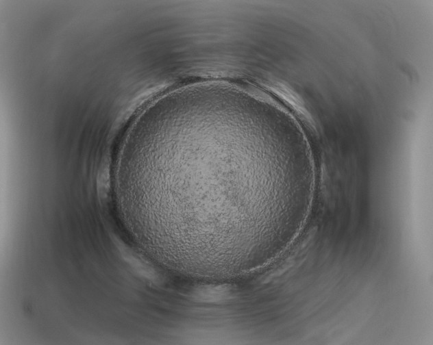 X0000115500202200911061334
