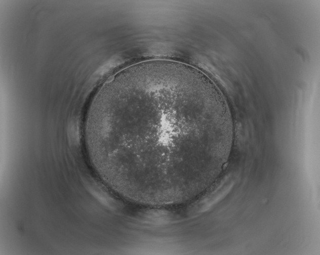 X0000115500203200911061334