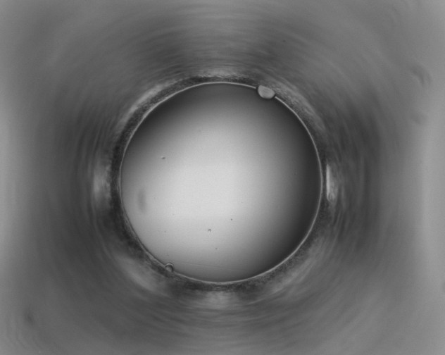 X0000115500204200911061334
