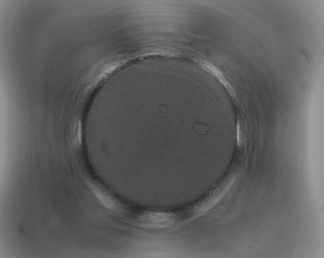 X0000115500205200911061334