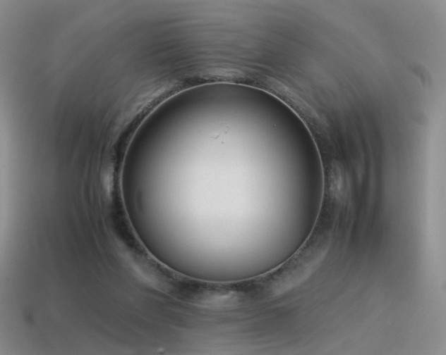 X0000115500206200911061334