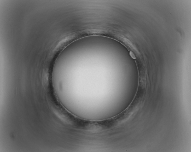 X0000115500207200911061334