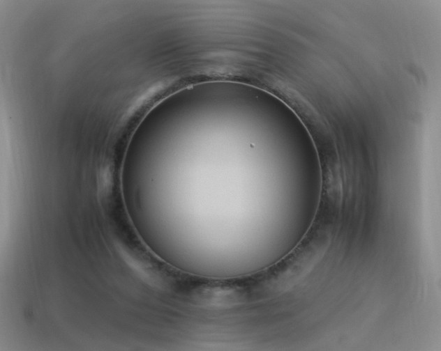 X0000115500208200911061334