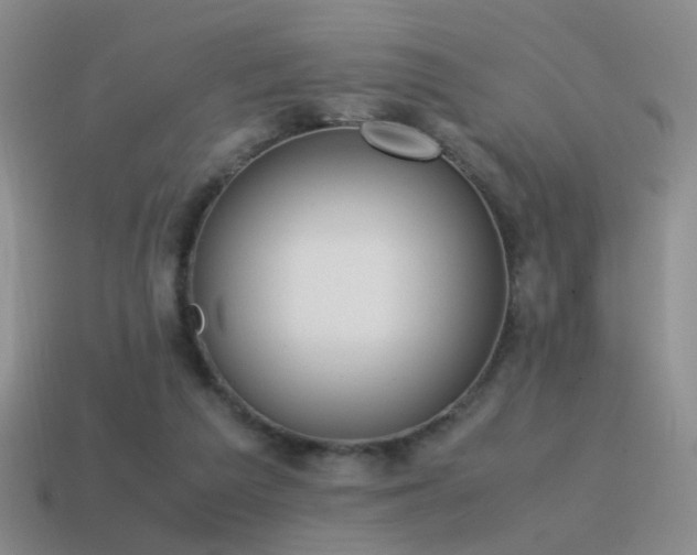 X0000115500209200911061334
