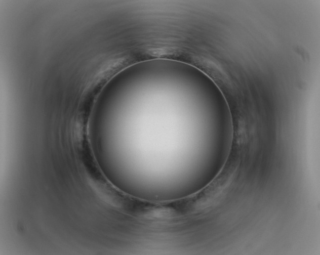 X0000115500210200911061334